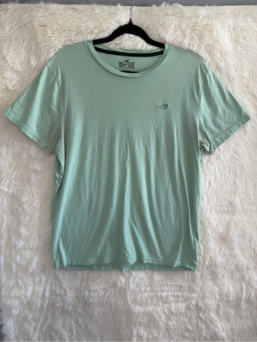 Hollister Mens Cotton Tee Size L Green Logo Preppy Casual Athleisure Casual